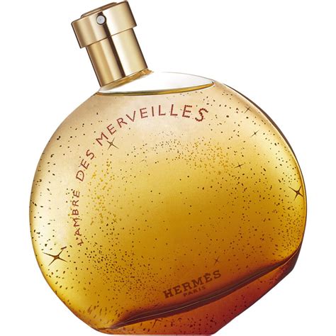 givenchy ambre des merveilles|l'ambre des merveilles.